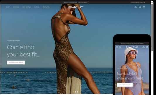 Symmetry Theme (Special offer for startup business)